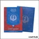 Sleeve - Dragon Shield - Protèges Cartes Matte - Format Standard - Izzet League - par 100