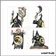 Warhammer Age of Sigmar -  Vils du Fielobscur - Troueurs Luneclans - 20 Figurines