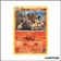 Commune - Pokemon - Double Danger - Chamallot de la Team Magma 1/34