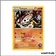 Commune - Pokemon - Double Danger - Galegon de la Team Magma 13/34