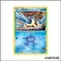 Commune - Pokemon - Double Danger - Obalie de la Team Aqua 3/34