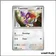 Commune - Pokemon - Faille Paradoxe - Capumain 145/182