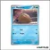 Commune - Pokemon - Flammes Fantasmagoriques - Marcacrin 23/94