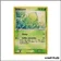 Commune - Pokemon - Rouge Feu Vert Feuille - Bulbizarre 55/112