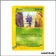 Commune - Pokemon - Skyridge - Pineco 85/144