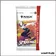 Display - Magic the Gathering - Marvel's Spider-Man - 12 Boosters Collector - Scellé - Français
