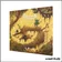 Donjons & Chatons - Extension : Le Marais
