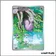 IR - Pokemon - Chaos Ascendant - Colimucus 95/86