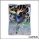 IR - Pokemon - Chaos Ascendant - Xerneas 91/86