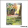 IR - Pokemon - Écarlate et Violet de Base - Dogrino 218/198