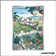 IR - Pokemon - Écarlate et Violet de Base - Étourmi 221/198