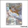 IR - Pokemon - Évolutions à Paldea - Raichu 211/193