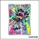 IR - Pokemon - Faille Paradoxe - Ramboum 212/182