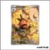 IR - Pokemon - Flamme Blanche - Grotichon 97/86