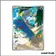 IR - Pokemon - Flamme Blanche - Moustillon 105/86