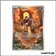 IR - Pokemon - Flamme Blanche - Terrakium 135/86