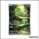 IR - Pokemon - Foudre Noire - Feuillajou 89/86