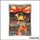 IR - Pokemon - Héros Transcendants - Chamallot 223/217