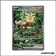 ISR - Pokemon - Forces Temporelles - Feu-Perçant-ex 204/162