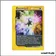Peu commune - Pokemon - Aquapolis - Énergie cristal 146/147