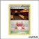 Peu commune - Pokemon - Double Danger - Base Secrète de la Team Magma 32/34