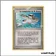 Peu commune - Pokemon - Dragon - La compassion de M. Briney 87/97