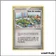 Peu commune - Pokemon - Émeraude - Zone de combat 75/106