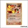 Peu commune - Pokemon - Team Magma Team Aqua - Rhinocorne de Team Magma 38/95