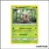 Peu commune - Pokemon - Tonnerre Perdu - Scarabrute 4/214