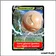 Promo Jumbo - Pokemon - Épée et Bouclier Promo - Électrode de Hisui V SWSH294