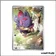 Promo - Pokemon - Écarlate et Violet Promo - Zorua de N SV189