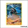 Promo - Pokemon - XY Promo - Kyurem Noir XY80