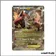 Promo - Pokemon - XY Promo - Rexillius EX XY70