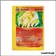 Rare - Pokemon - Expedition - Feunard 57/165