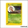 Rare - Pokemon - Skyridge - Ledian 15/144