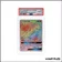 Secrete - Pokemon - Légendes Brillantes - Entei GX - 74/73 - PSA 8 - Français