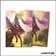 Sleeve - Dragon Shield - Protèges Cartes - Format Standard Art - The Fawnix - par 100