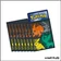 Sleeve - Pokemon - ETB - EB7 - Évolution Céleste - Pyroli, Noctali, Voltali et Phyllali - Scellé - par 65