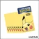 Sleeve - Pokemon - Ultra PRO - Protèges Cartes - Format Standard - Pikachu - par 65