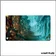 Tapis - Magic the Gathering - Playmat - Ravnica Remastered - Bassin d'élevage