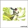 Tapis - Riftbound - Playmat - Set 3 : Unleashed - Master Yi, Wuju Master