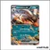 Ultra - Pokemon - Flammes Obsidiennes - Démolosse-ex 134/197