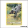 Ultra - Pokemon - Zénith Suprême - Medhyèna GG33/GG70