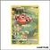 Ultra - Pokemon - Zénith Suprême - Paras GG32/GG70