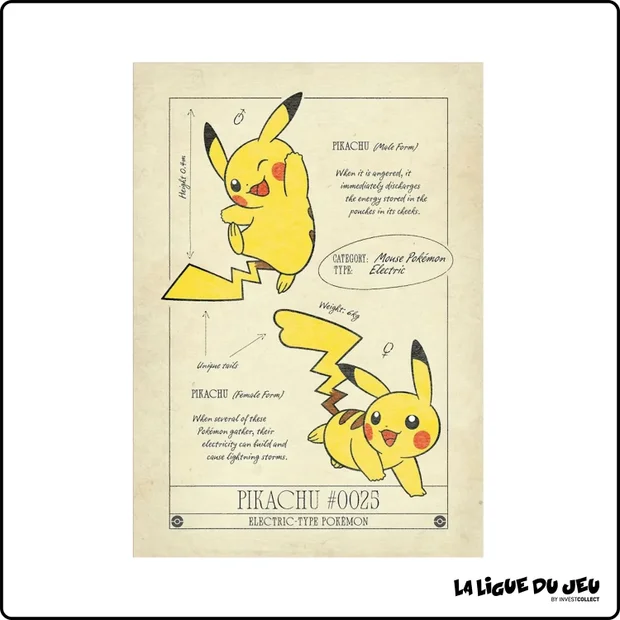 Affiche Pokemon - Natural History Museum x Pokemon Center - Pikachu Art Print
