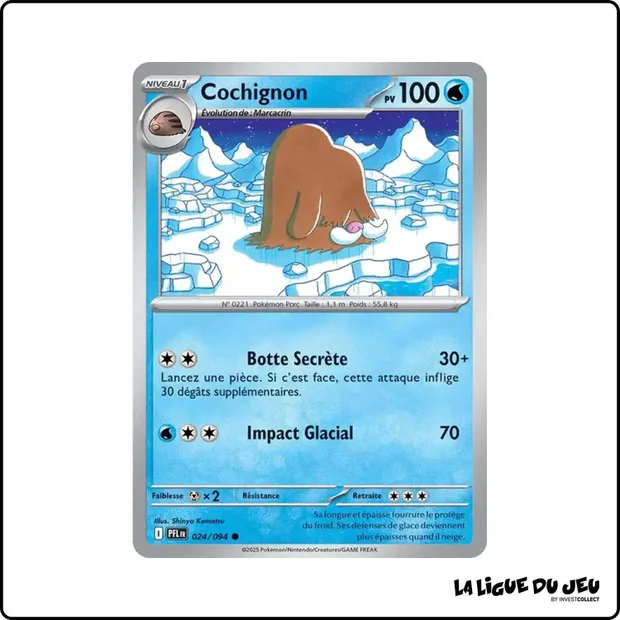 Commune - Pokemon - Flammes Fantasmagoriques - Cochignon 24/94