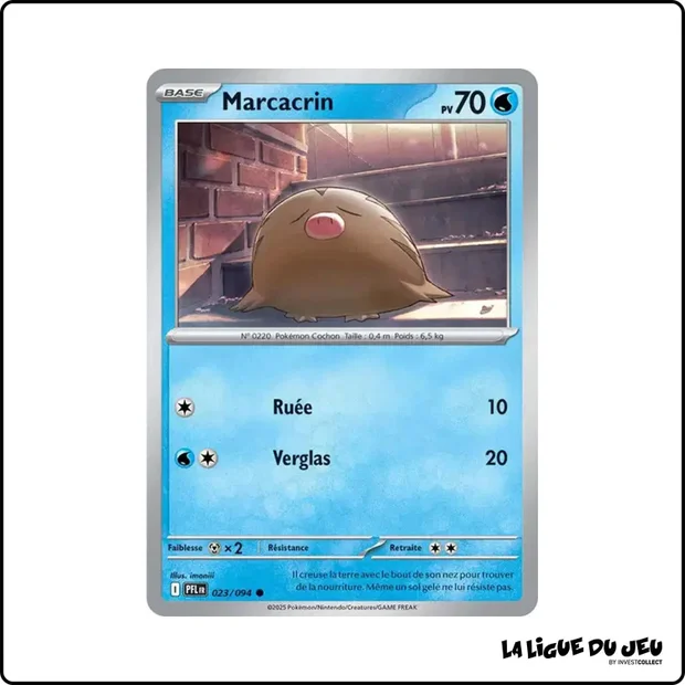 Commune - Pokemon - Flammes Fantasmagoriques - Marcacrin 23/94