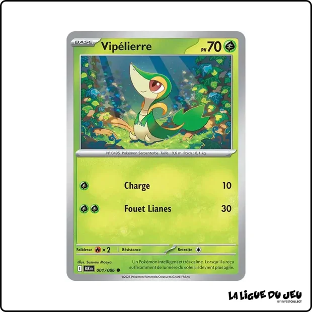 Commune - Pokemon - Foudre Noire - Vipélierre 1/86