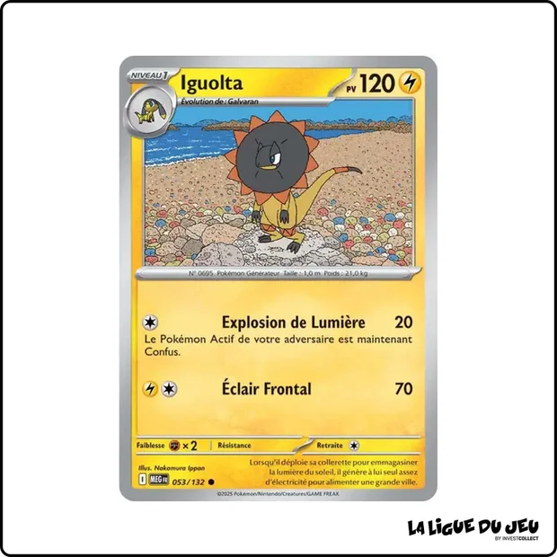 Commune - Pokemon - Méga Évolution de Base - Iguolta 53/132