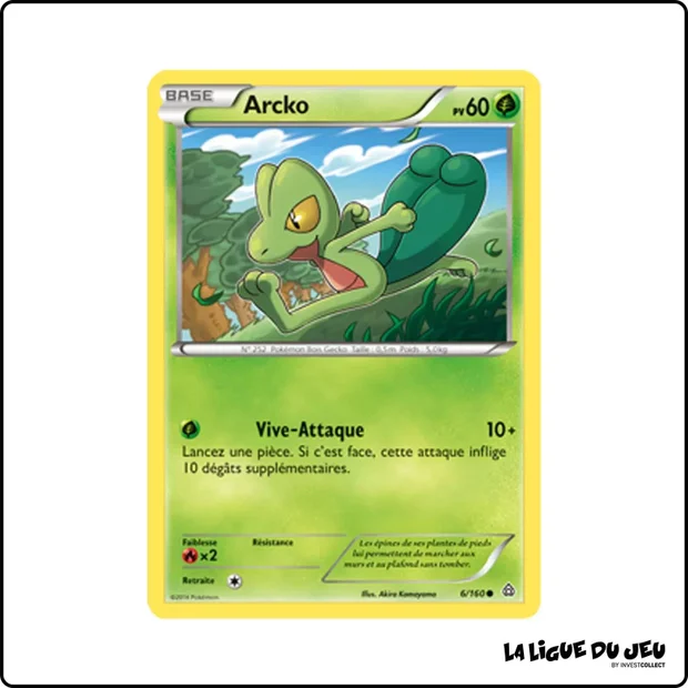 Commune - Pokemon - Primo Choc - Arcko 6/160